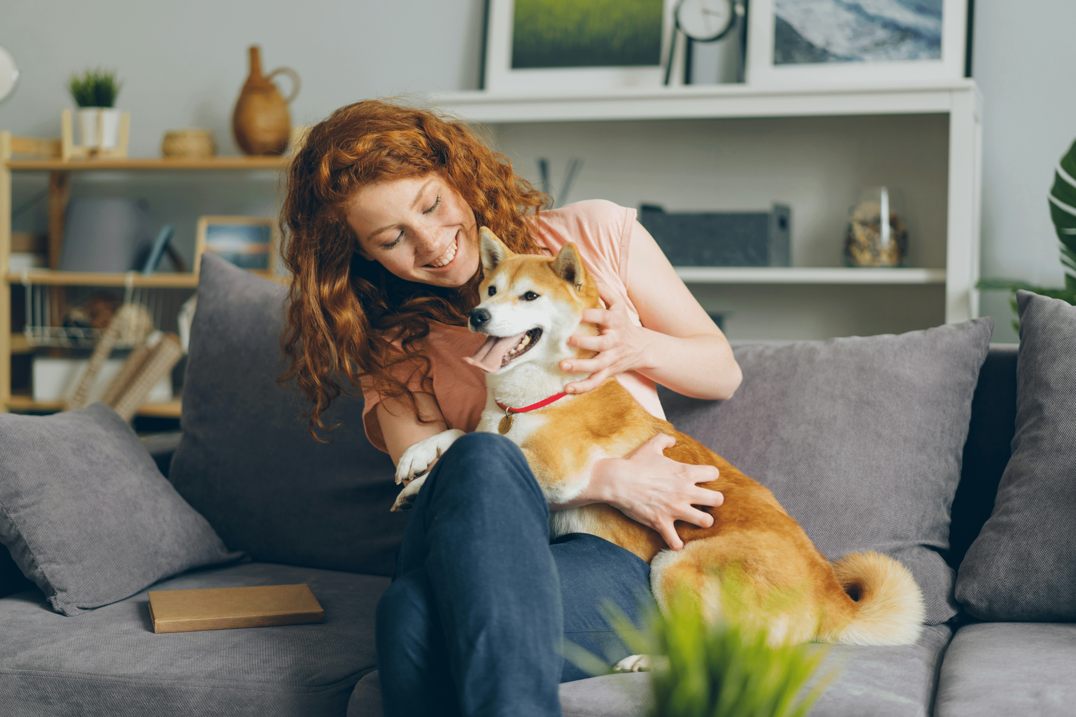 Ensuring Your Dog's Health: A Comprehensive Guide