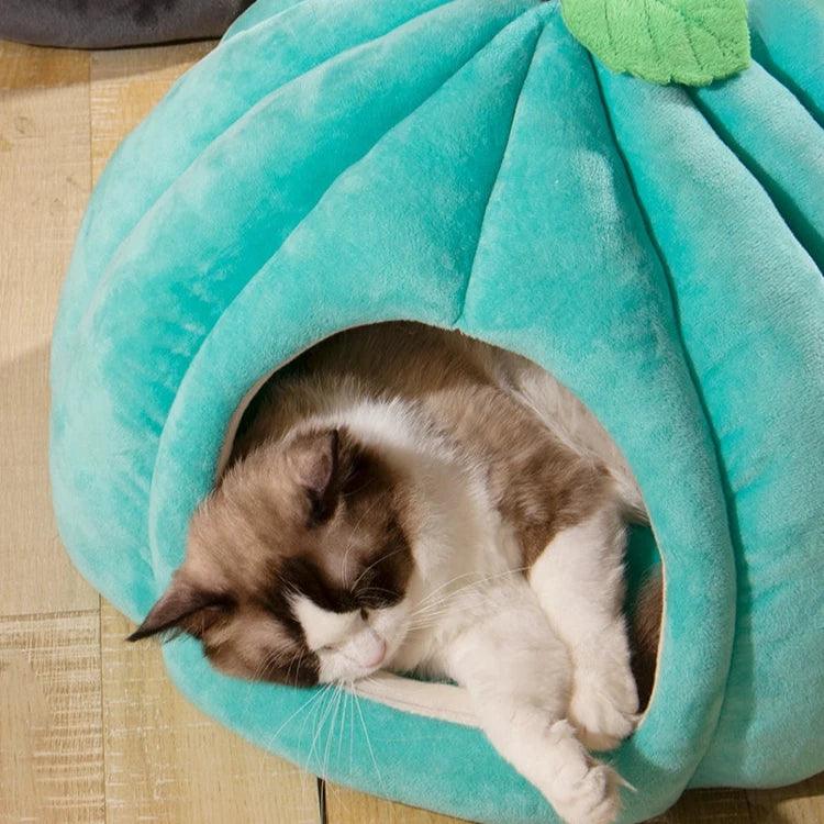 Pumpkin Pet Nest