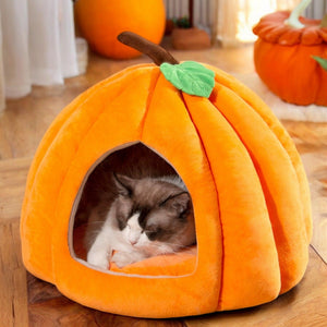 Pumpkin Pet Nest