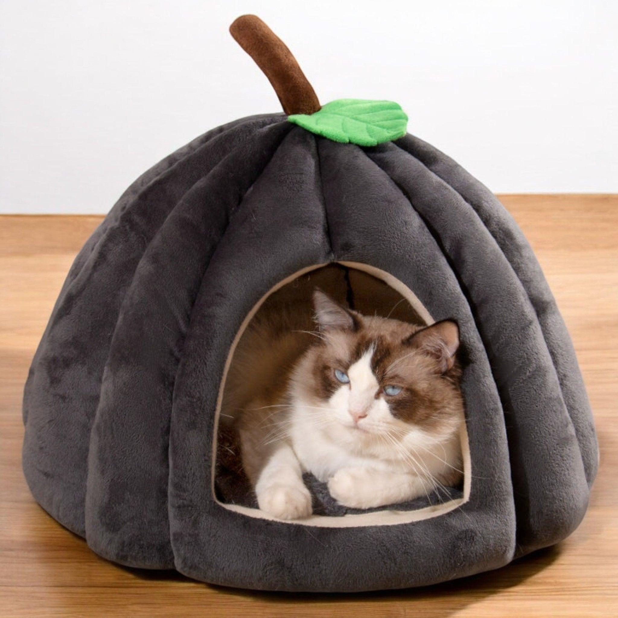 Pumpkin Pet Nest