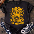 PAWSSION CLUB t-shirt in Black color - SKU PC-0260