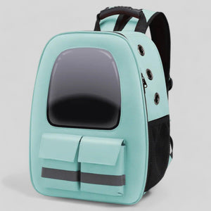 Luminous Travel Pet Carrier