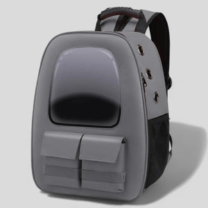 Luminous Travel Pet Carrier