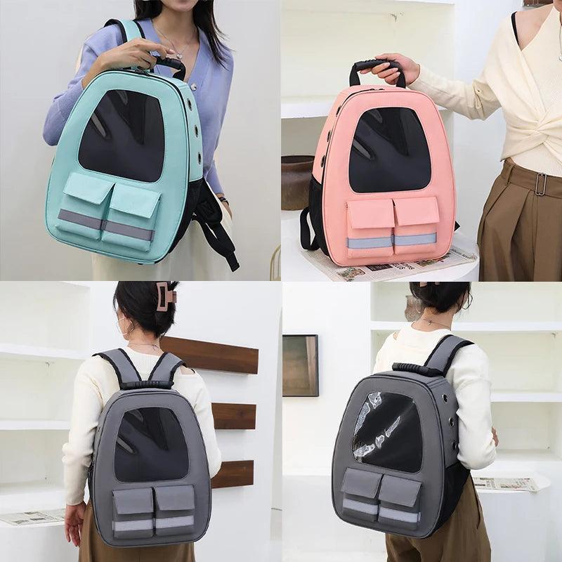 Luminous Travel Pet Carrier