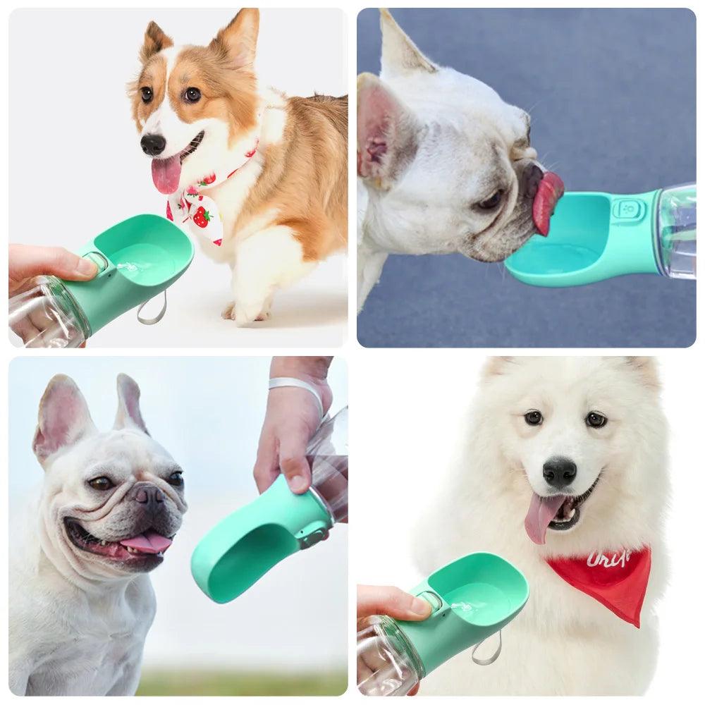 Outdoor Dog Drinking Bowl