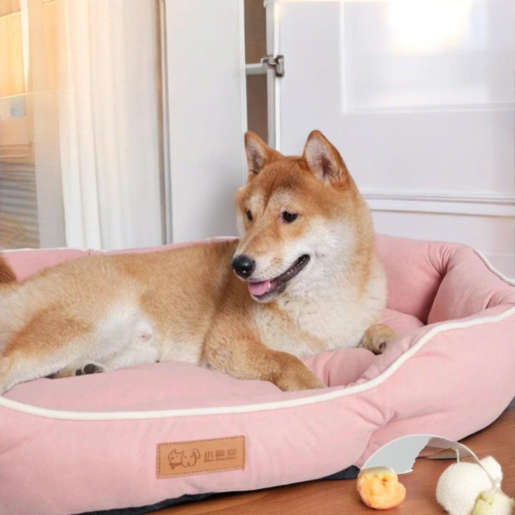 Four Seasons Universal Dog Bed