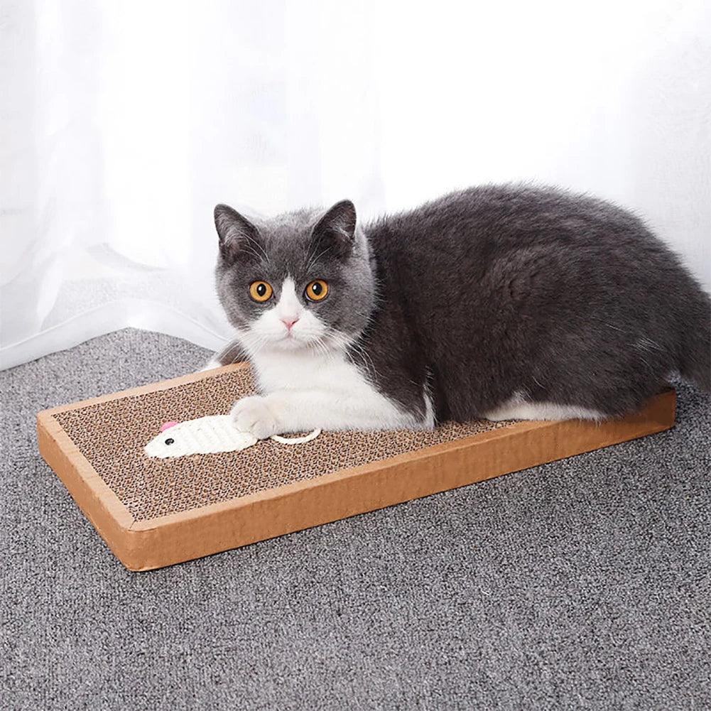 Cat Scratching Board