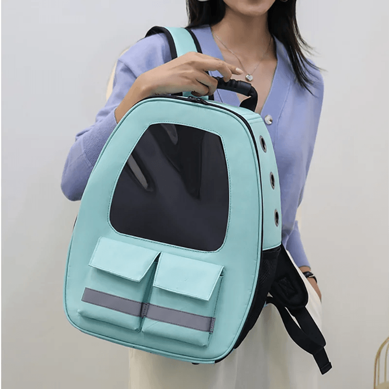 Luminous Travel Pet Carrier