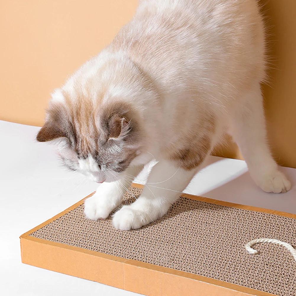 Cat Scratching Board