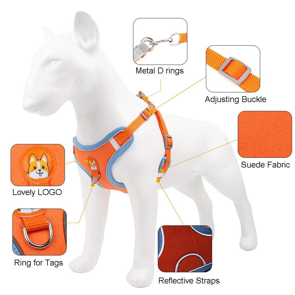 Reflective Dog Harness Vest with Leash