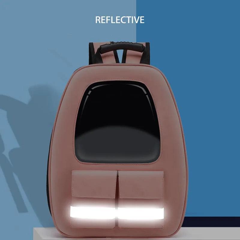 Luminous Travel Pet Carrier