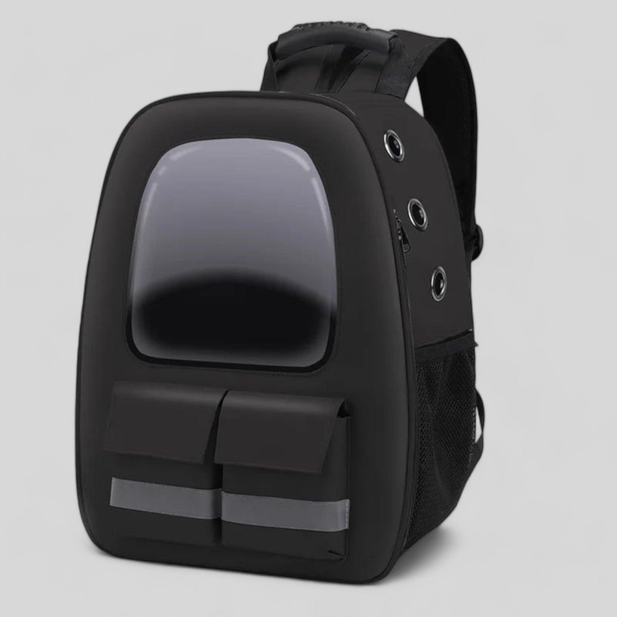 Luminous Travel Pet Carrier