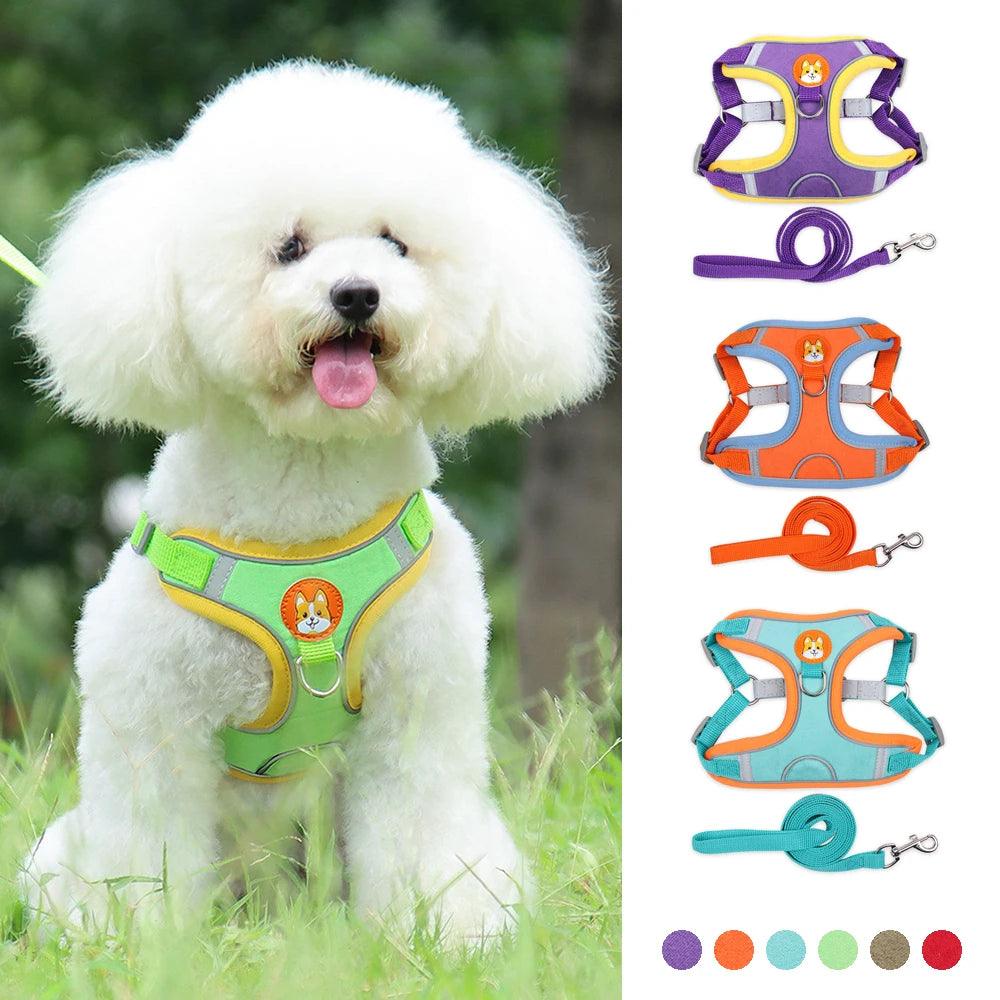 Reflective Dog Harness Vest with Leash